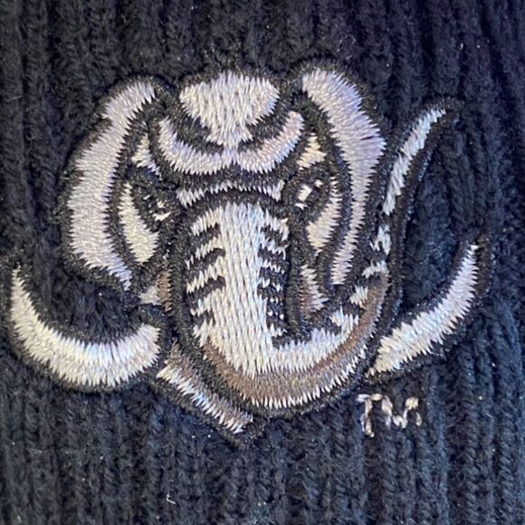 Purdue Fort Wayne Mastadons Stocking Hat Vintage Knit Cap Headwear by The Game - Picture 4 of 10